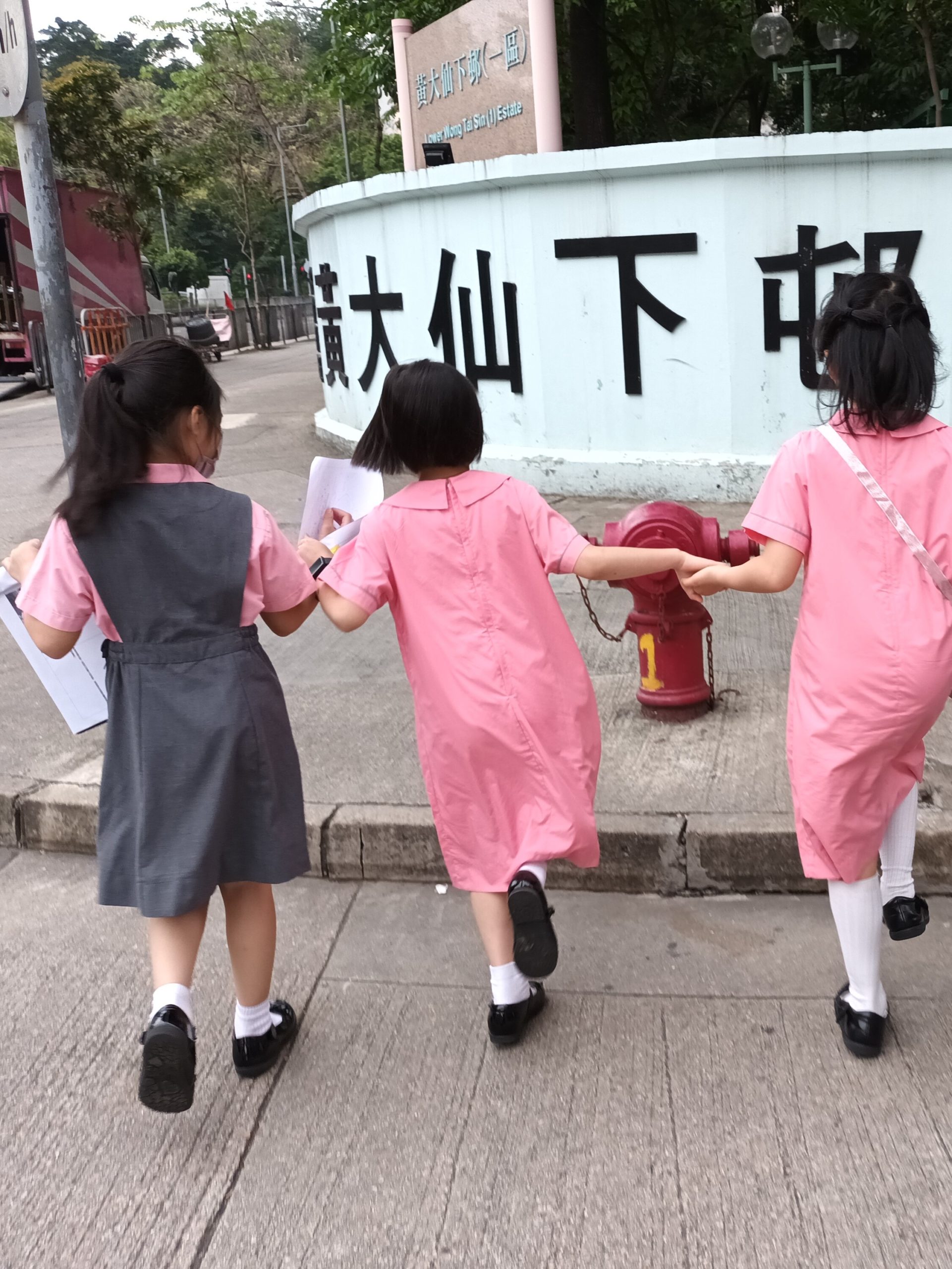 Community Trip image