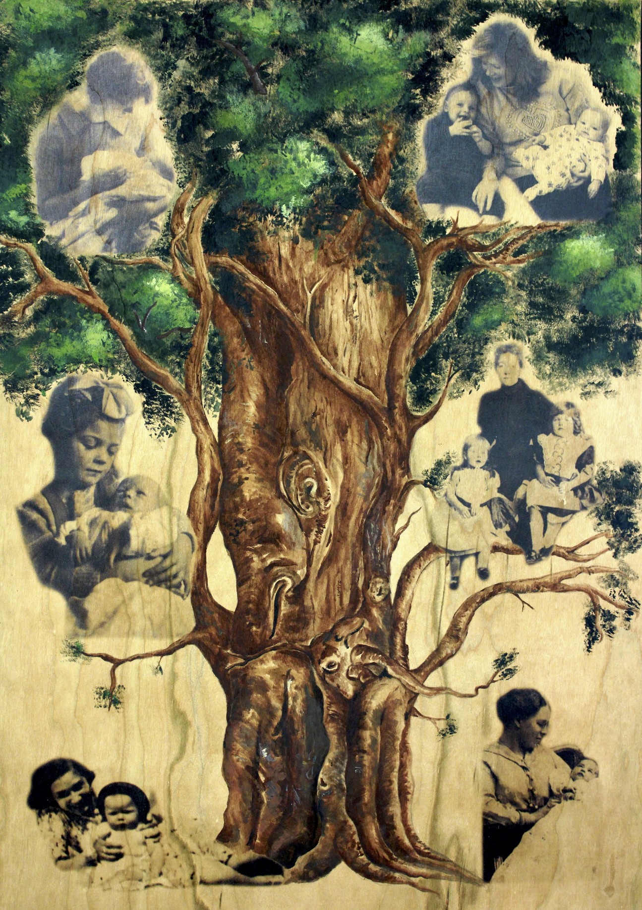 Family Tree image