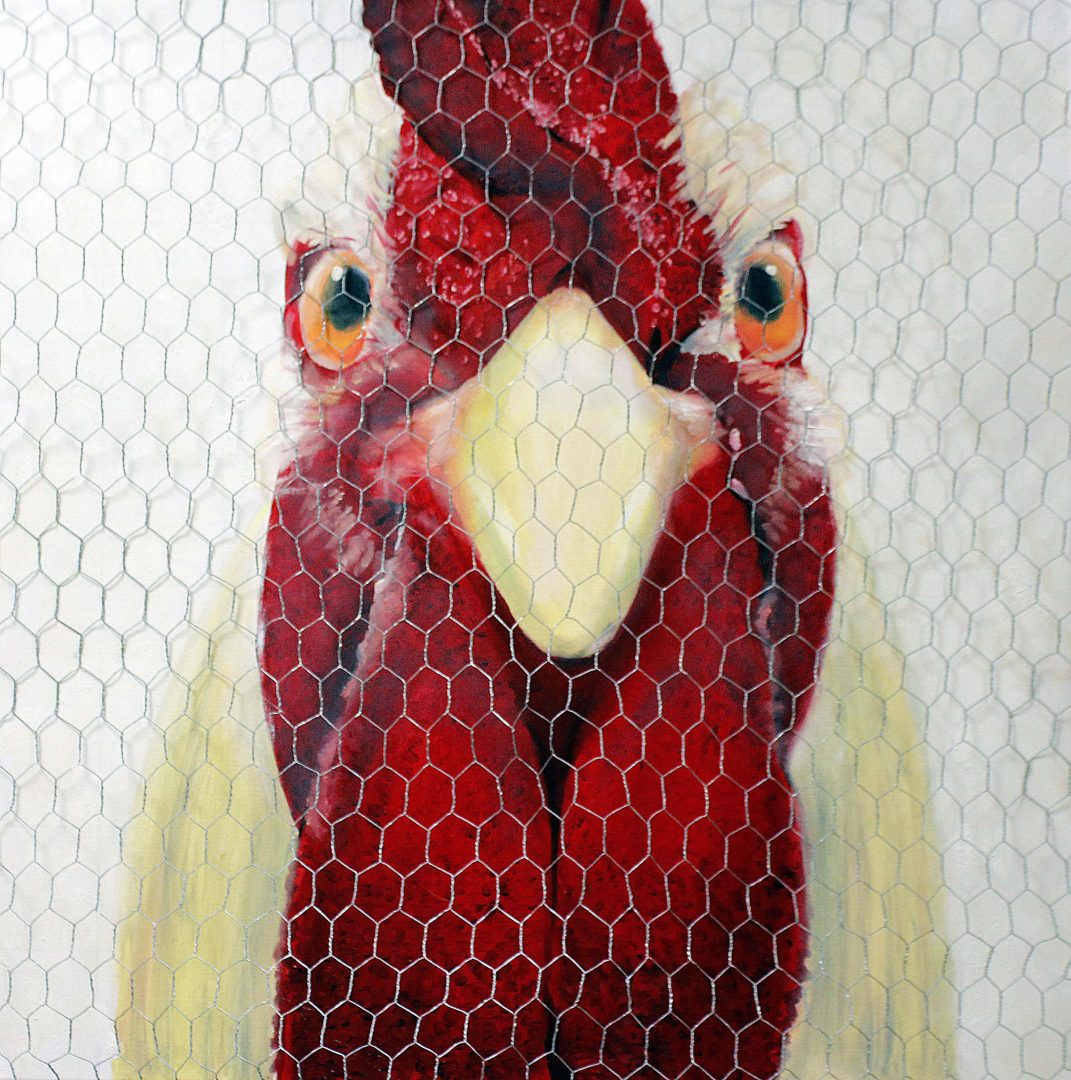 Chicken image