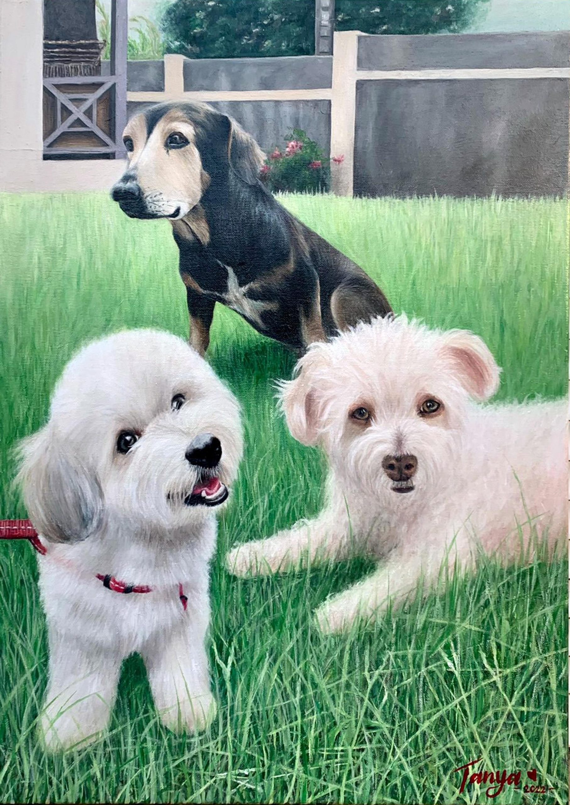 Three dogs one family image