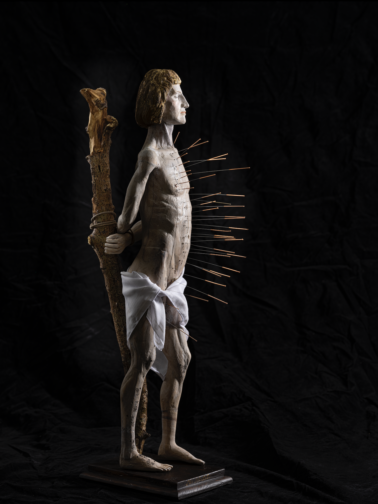 Saint Sebastian of Acupuncture  image