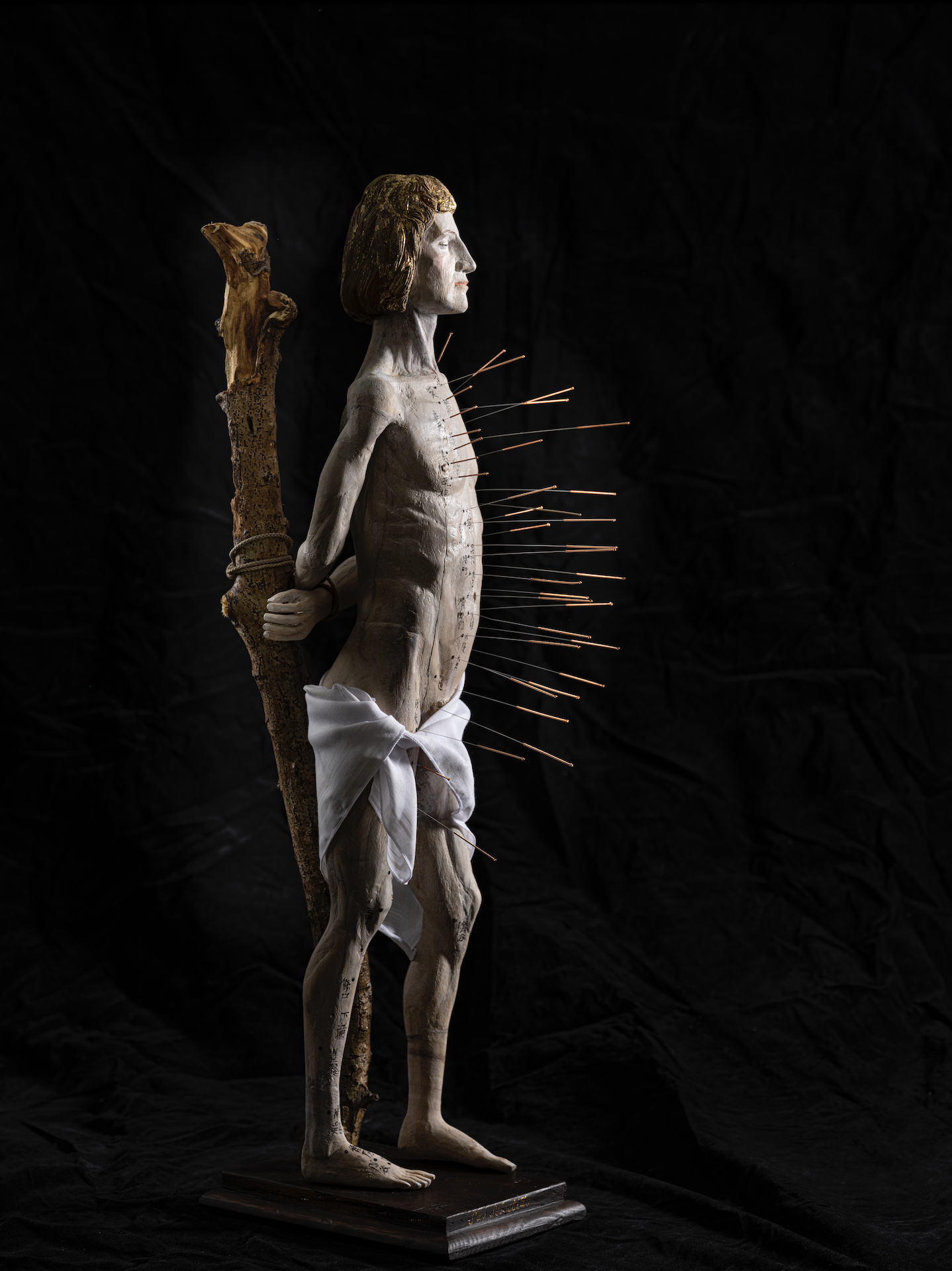 Saint Sebastian of Acupuncture image