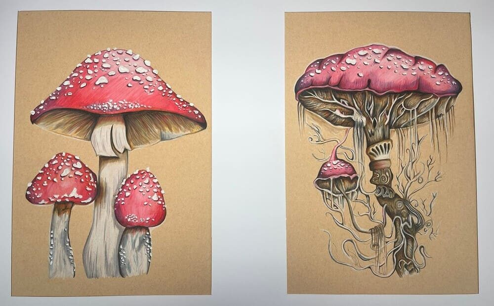 Mushrooms image