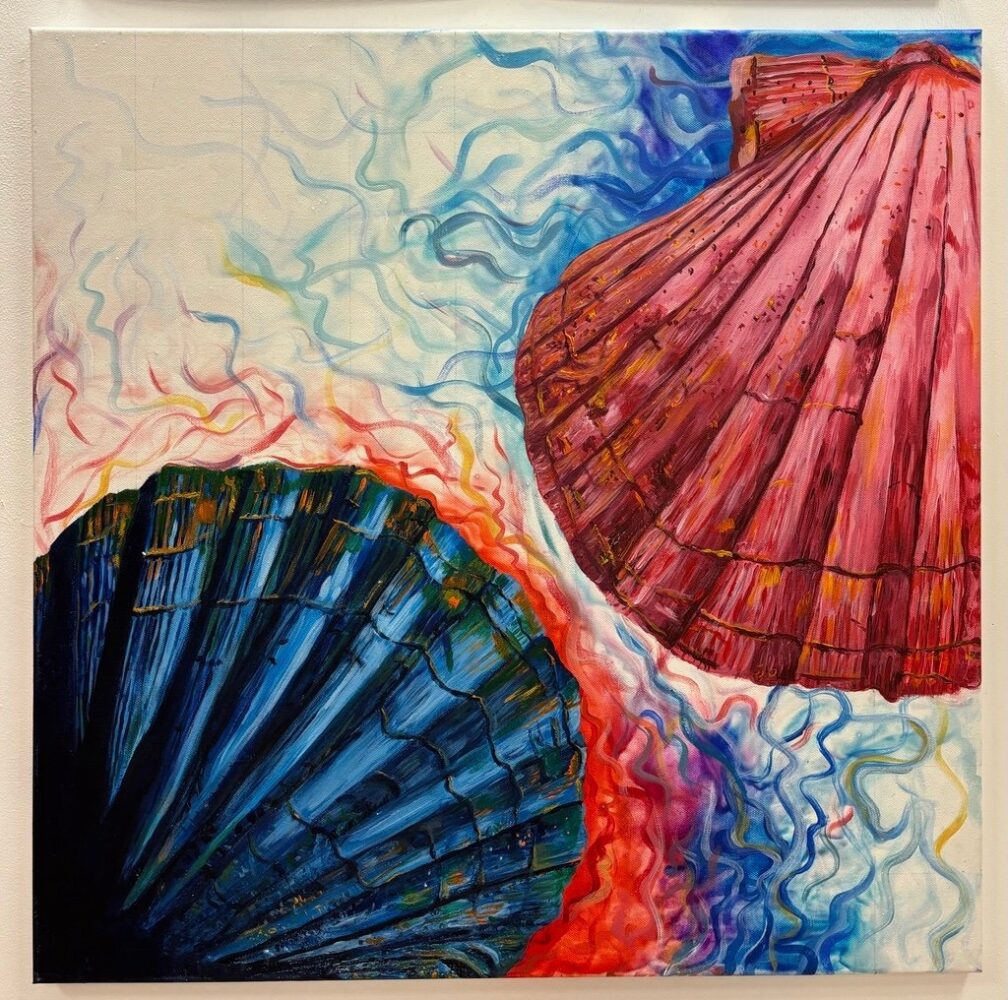 Shells  image