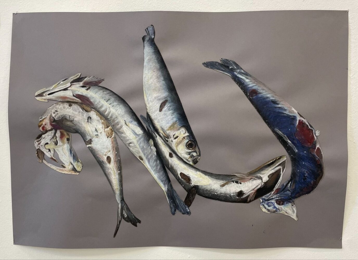 Fish Out Of Water image