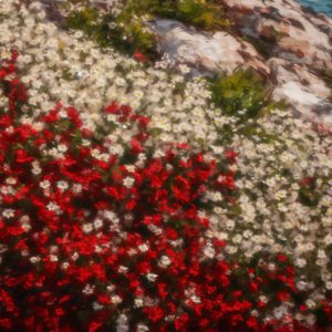 Flowers on Gibraltar