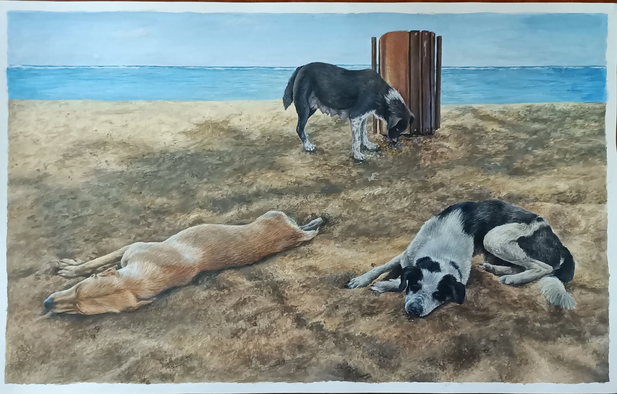 MAUSP2023_Cheung-Chin-Yan_Save-a-Stray-1
