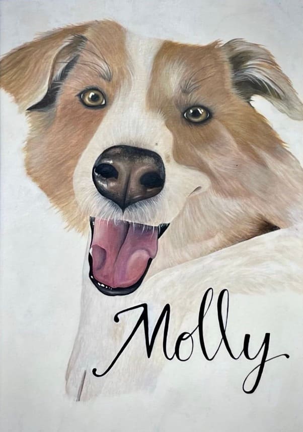 Molly, Man's Best Friend image