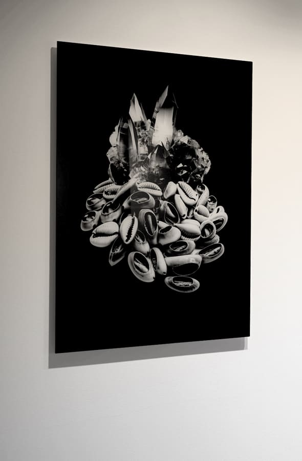 Point of No Return (Postfossil – Soft and Tender Extraction series)  image