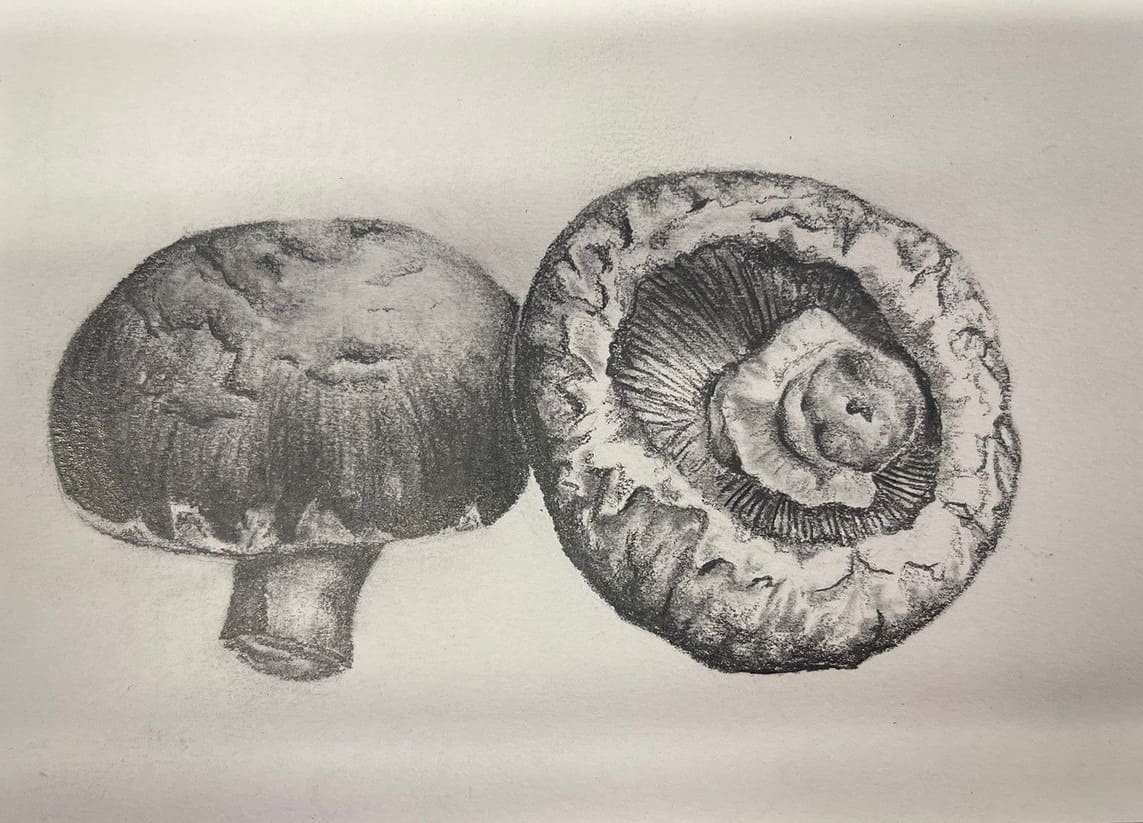 Mushrooms in the shadows image