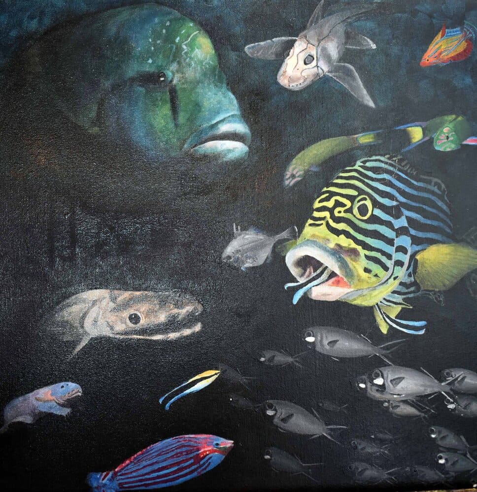 Fish below image
