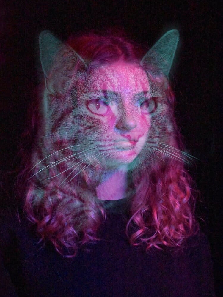 The Feline within image