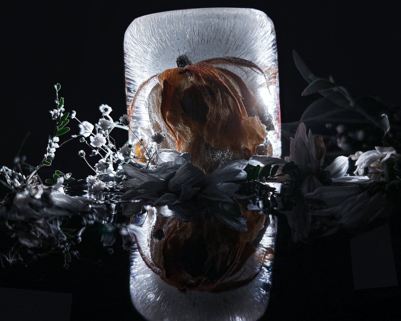 Frozen Elegy image