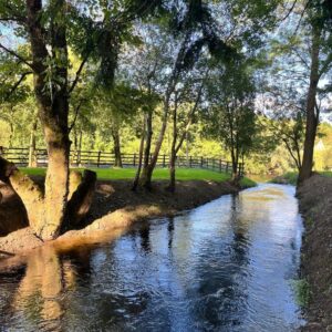 Verses of Glistening Green Waters