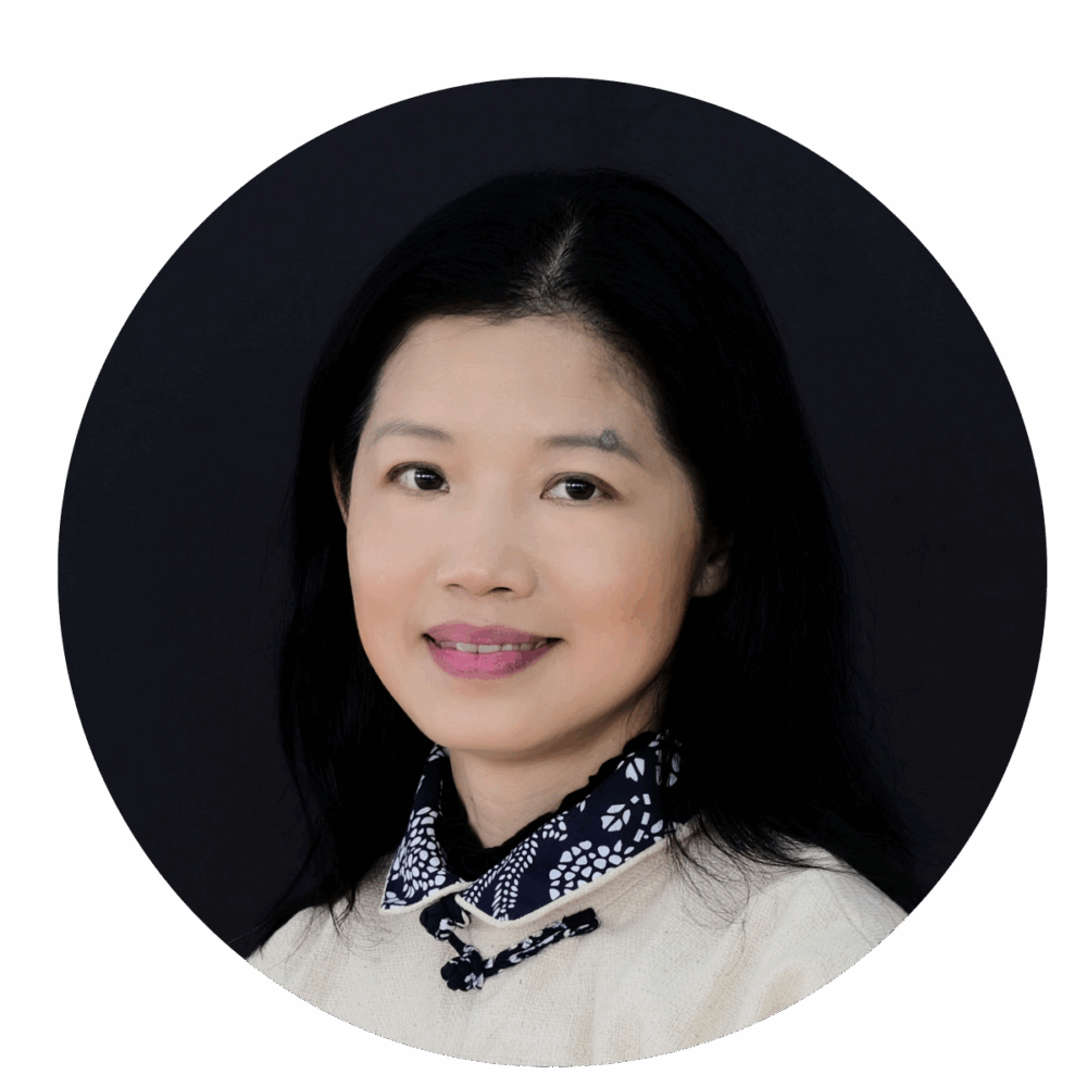 Professor Rainbow T.H. Ho image