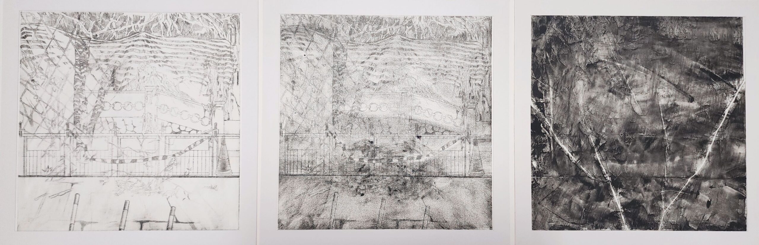 Back to our roots image