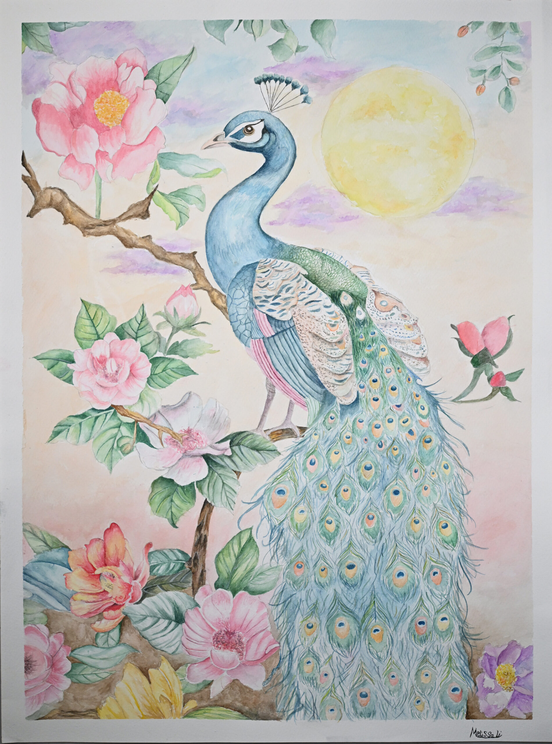 Blooming Peacock image