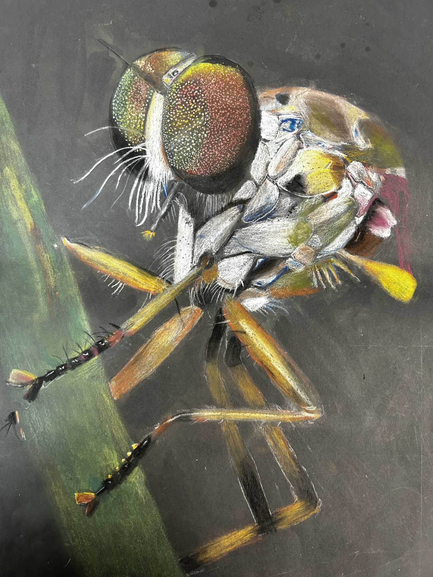 Shimmer & Shadow image