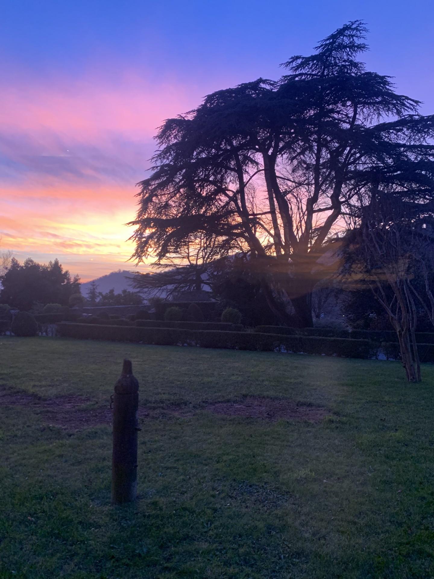 Shades of Beauty image