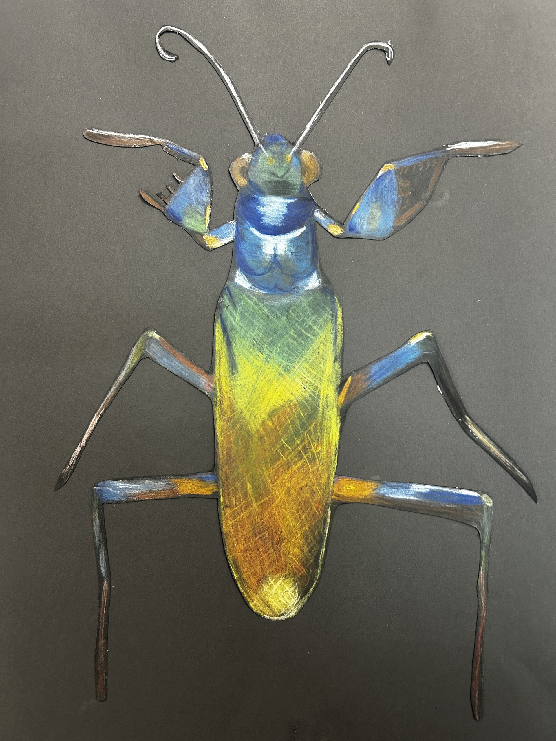 The Living Gem image