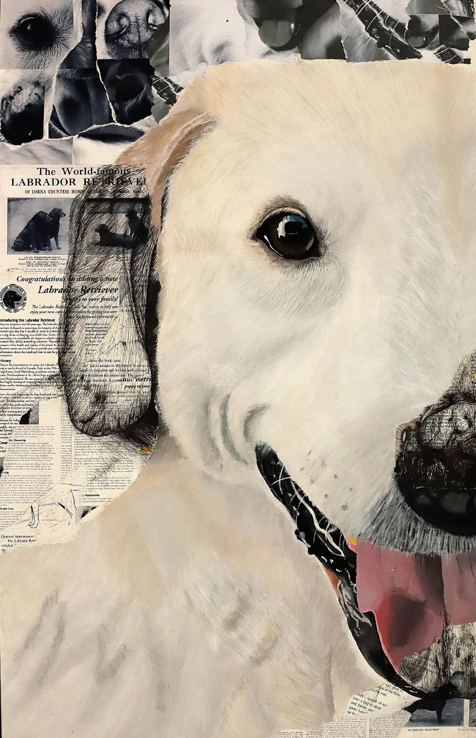 Detail By Detail: A Portrait of Companionship image