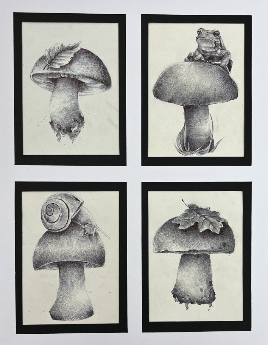 Quiet life on the forest floor image