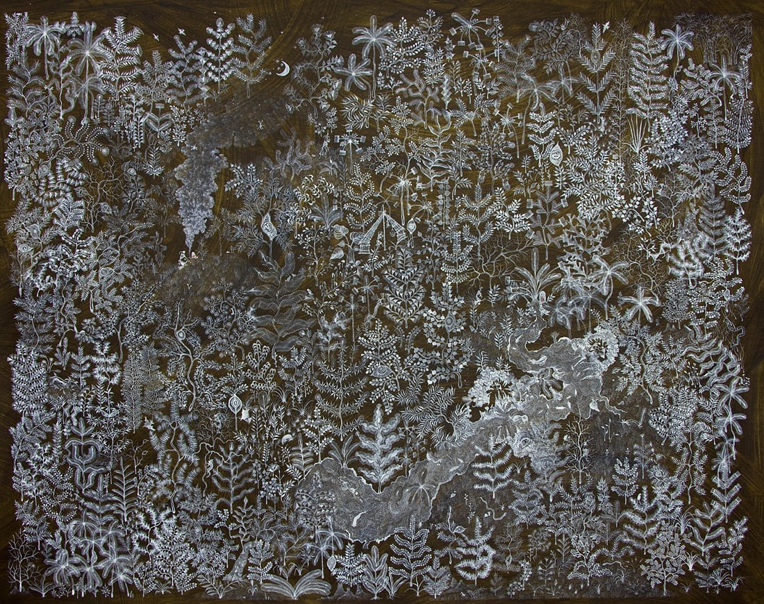 The Eyes of Forest image