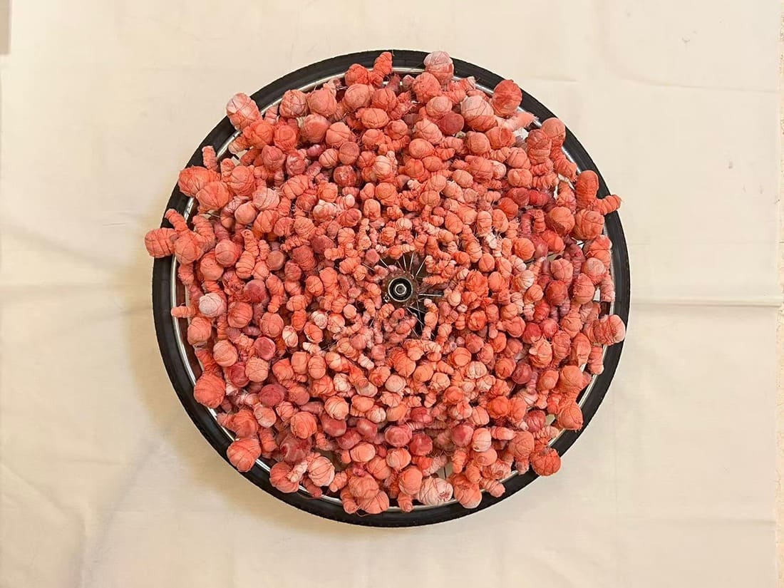 Beneath the sky 《苍穹之下》 image