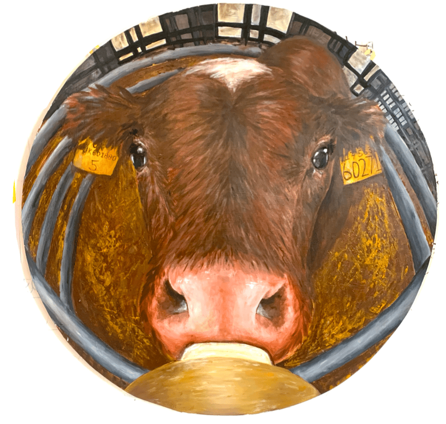 my missing cow image